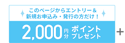 このページからエントリー＆お申込み・発行の方だけ！2,000円分ポイントプレゼント