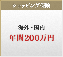 ショッピング保険　海外・国内　年間200万円